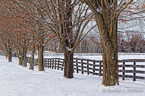 Winter Farm Fence_32522.jpg - Photographed near Portland, Ontario, Canada.